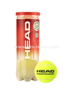 3B HEAD CHAMPIONSHIP