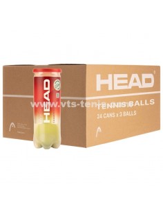 Championships cajon x24